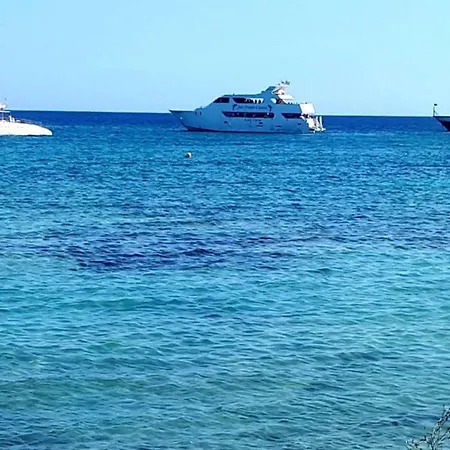 Karousos Lägenhetshotell Ayia Napa